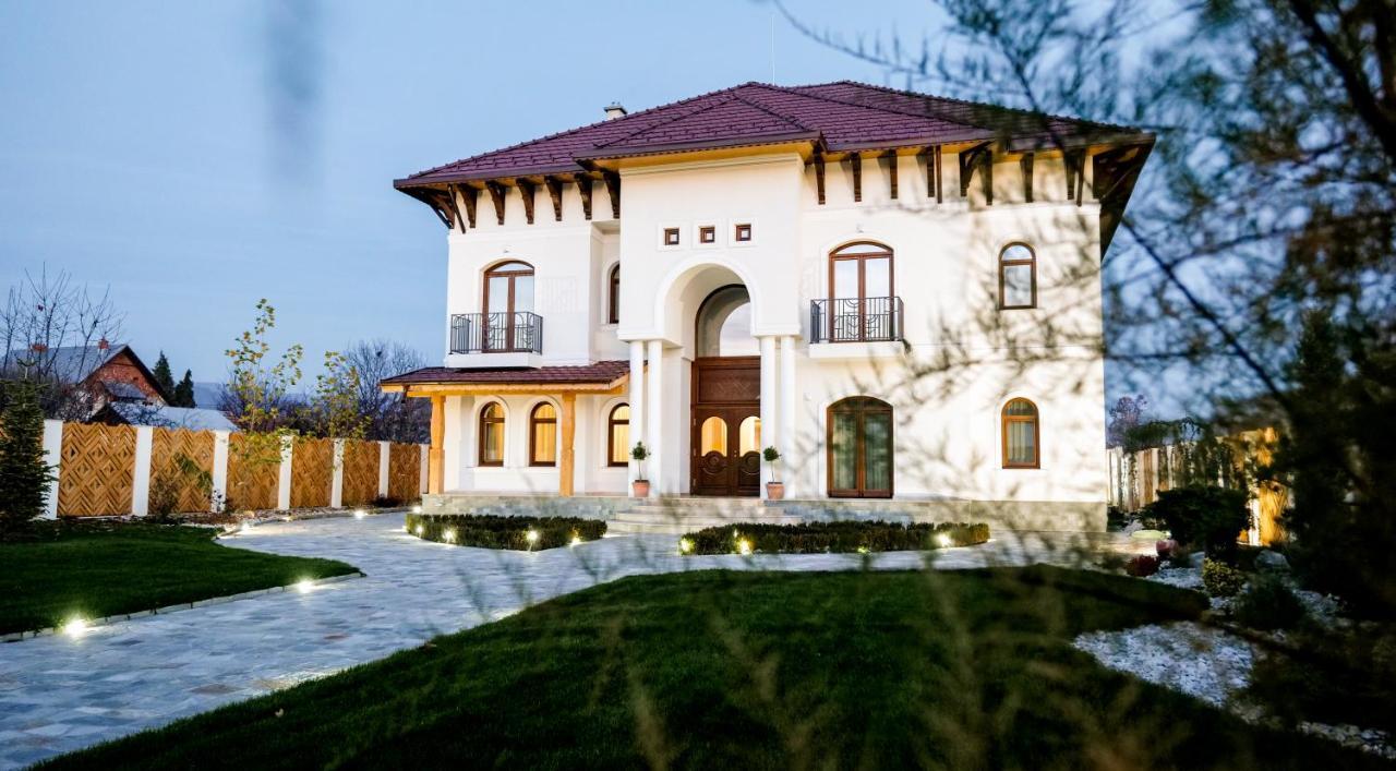 Conacul Olarilor Bed & Breakfast Baia de Fier Luaran gambar