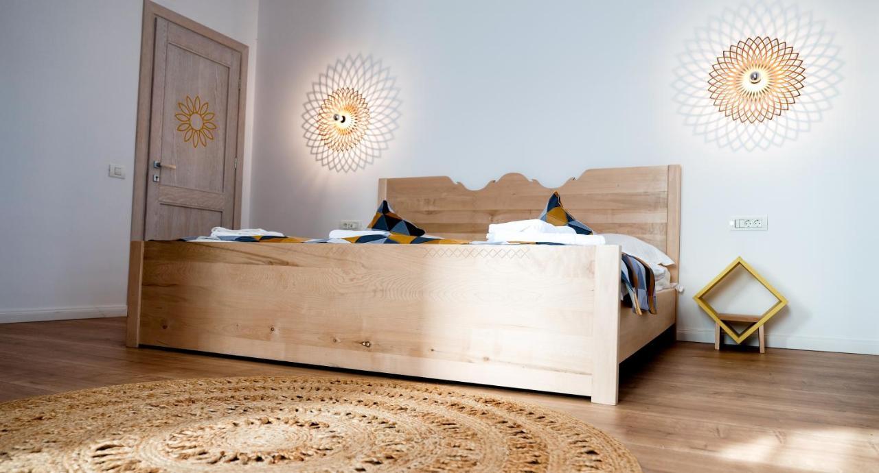 Conacul Olarilor Bed & Breakfast Baia de Fier Luaran gambar